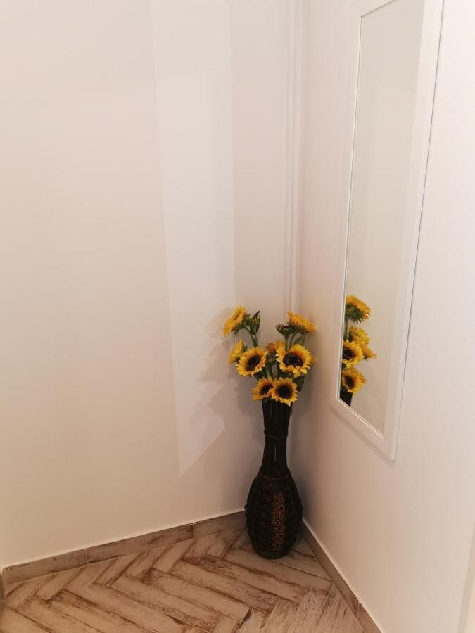 Bee Studio Apartment Iernut Exterior foto